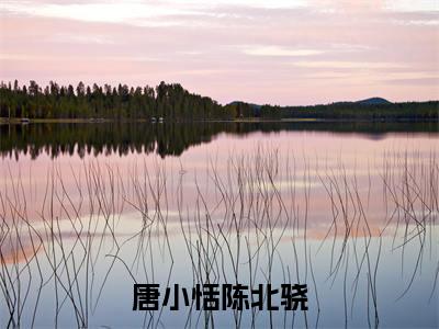 唐小恬陈北骁陈北骁唐小恬最新章节免费阅读-唐小恬陈北骁小说推荐陈北骁唐小恬精彩章节在线阅读