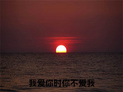 我爱你时你不爱我(唐晓芸陈修泽)小说全文免费阅读无弹窗大结局_唐晓芸陈修泽全文免费阅读