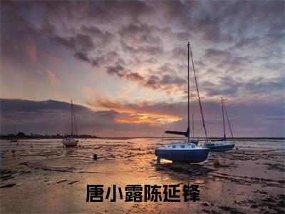陈延锋唐小露（唐小露陈延锋小说）全文免费阅读无弹窗大结局_（陈延锋唐小露）唐小露陈延锋小说最新章节列表_笔趣阁（唐小露陈延锋小说）