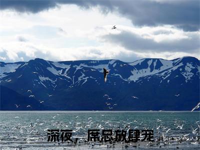 席惟景季姣小说深夜，席总放肆宠完整版全文在线赏析-小说席惟景季姣全文大结局已完结