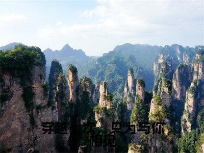穿越七次,只为与你相见(舒相宜百里缺)精彩小说-小说舒相宜百里缺全文无删减版免费阅读