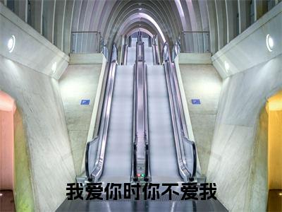 我爱你时你不爱我(唐晓芸陈修泽)最新免费小说-唐晓芸陈修泽(我爱你时你不爱我)全文全章节免费阅读