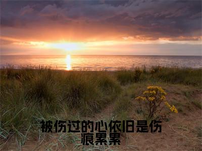 傅云琛姜凝抖音完结版阅读《被伤过的心依旧是伤痕累累》最新章节目录好书推荐_(傅云琛姜凝)