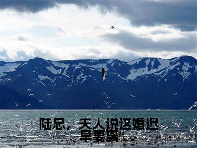 陆总,夫人说这婚迟早要离(盛渺陆怀序)小说全文小说免费阅读_陆总,夫人说这婚迟早要离最新章节列表笔趣阁(盛渺陆怀序)