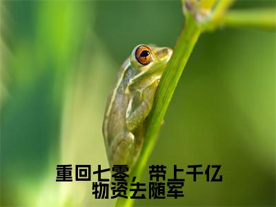 主角为苏染染沈贺的小说(重回七零,带上千亿物资去随军)无弹窗大结局-最新小说重回七零,带上千亿物资去随军全文阅读最新章节列表_笔趣阁