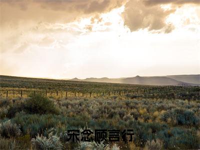 宋念顾言行(顾言行宋念)全文免费阅读无弹窗大结局_宋念顾言行在线阅读笔趣阁