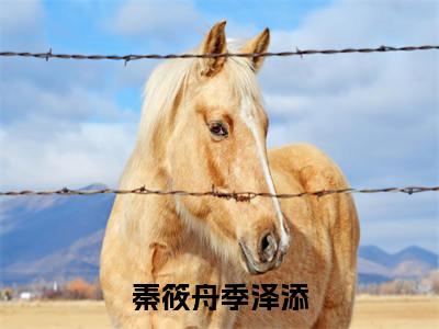 秦筱舟季泽添小说全文免费阅读小说季泽添秦筱舟热门小说完整版阅读