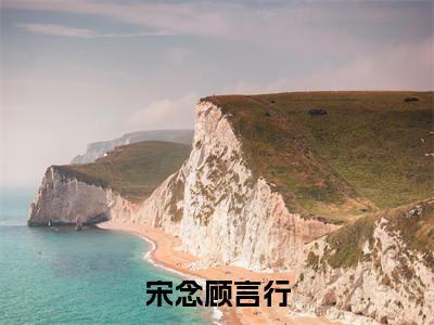 宋念顾言行（顾言行宋念）小说免费阅读-宋念顾言行（顾言行宋念）已完结全集大结局小说