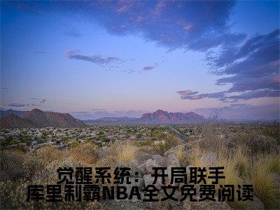  苏浩库里小说觉醒系统：开局联手库里制霸NBA最新章节阅读-最新热点小说 苏浩库里