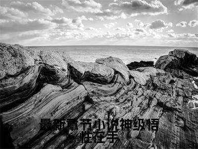 神级悟性在手，主角光环归我了林泽夏青禾（ 林泽夏青禾）全文免费阅读_神级悟性在手，主角光环归我了林泽夏青禾免费阅读最新章节列表笔趣阁（ 林泽夏青禾）