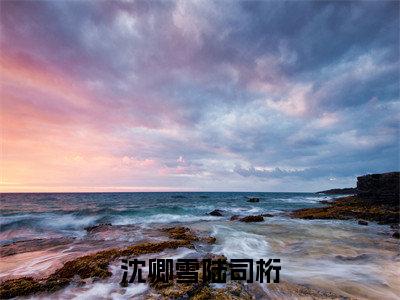 陆司桁沈卿雪全文免费(沈卿雪陆司桁)全文免费阅读无弹窗大结局_(陆司桁沈卿雪全文免费)