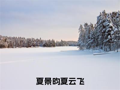 夏景昀夏云飞（夏景昀夏云飞）全文免费阅读无弹窗大结局_(夏景昀夏云飞阅读全文大结局)夏景昀夏云飞最新章节列表（夏景昀夏云飞）