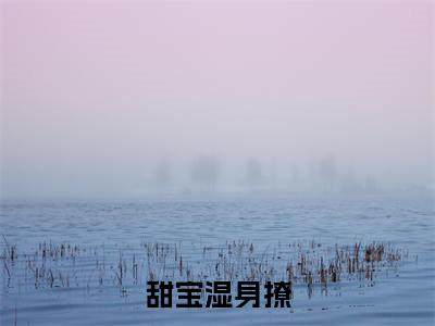 （甜宝湿身撩，大佬实在把持不住！）在线阅读-主角是（ 顾染傅司爵）的小说甜宝湿身撩，大佬实在把持不住！全文赏析最新章节列表_笔趣阁