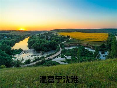温嘉宁沈淮(沈淮温嘉宁)热门小说盘点在线阅读-全网推荐小说沈淮温嘉宁全文