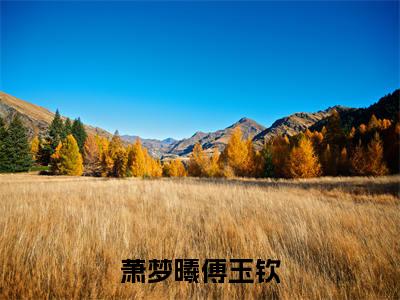 萧梦曦傅玉钦小说最新试读_傅玉钦萧梦曦是(萧梦曦傅玉钦全文完整版免费阅读)_笔趣阁