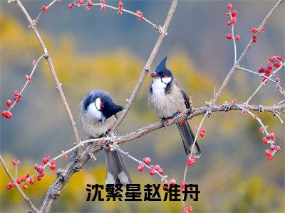 沈繁星赵淮舟全文免费阅读无弹窗大结局_（沈繁星赵淮舟阅读无弹窗）沈繁星赵淮舟最新章节列表_笔趣阁