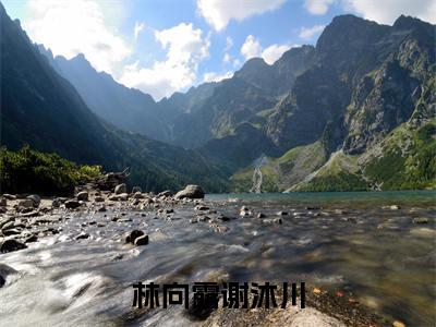 谢沐川林向露(林向露谢沐川)小说免费阅读_谢沐川林向露精选小说全文阅读(林向露谢沐川)