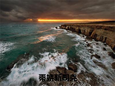 秦娆靳司尧（靳司尧秦娆）全文免费阅读无弹窗_（靳司尧秦娆的小说全文免费阅读）秦娆靳司尧小说最新章节列表无删减_笔趣阁