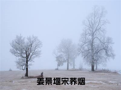 宋荞烟姜景堰小说在线阅读姜景堰宋荞烟无广告小说免费在线阅读
