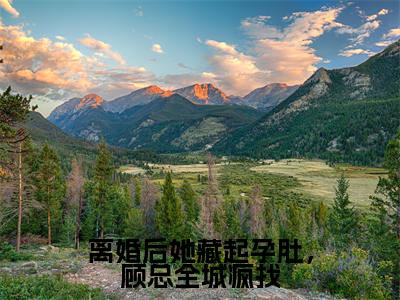 离婚后她藏起孕肚，顾总全城疯找最新章节（顾云庭舒皖）小说推荐阅读-新书离婚后她藏起孕肚，顾总全城疯找精彩阅读