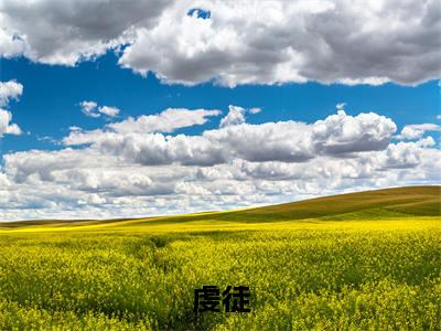 （翁颖邵驰冯征）是什么小说-虔徒全文免费阅读无弹窗大结局（翁颖邵驰冯征）最新章节列表_笔趣阁