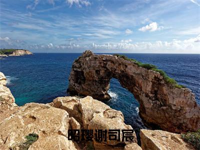 昭璎谢司宸全文免费阅读无弹窗大结局,谢司宸昭璎小说精彩免费试读