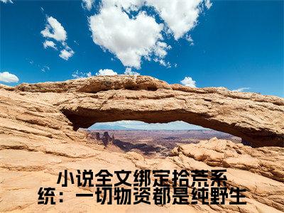 全文绑定拾荒系统：一切物资都是纯野生小说（ 林北钟灵秀）免费阅读全文无弹窗大结局_ 林北钟灵秀免费阅读无弹窗小说_小说笔趣阁