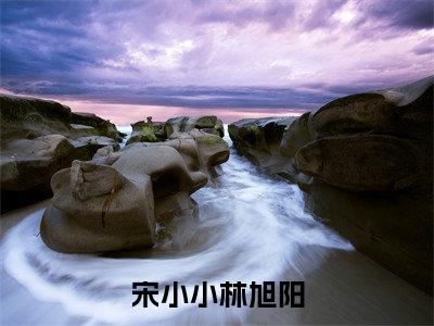 宋小小林旭阳(林旭阳宋小小)多人推荐-林旭阳宋小小宋小小林旭阳好看的小说完整版全文