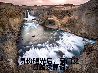 身份曝光后,豪门父母跪求原谅全文免费阅读_(沈玥程隋免费阅读无弹窗)身份曝光后,豪门父母跪求原谅知乎高赞小说阅读