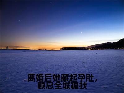 离婚后她藏起孕肚，顾总全城疯找全文免费阅读无弹窗大结局_(离婚后她藏起孕肚，顾总全城疯找)顾云庭舒皖最新章节列表_笔趣阁