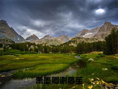 萧墨卿谢慕笙小说（谢慕笙萧墨卿）全文免费阅读无弹窗_萧墨卿谢慕笙小说_笔趣阁