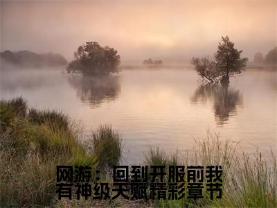  林天浩周小胖（网游：回到开服前我有神级天赋）全文免费阅读无弹窗大结局_网游：回到开服前我有神级天赋（ 林天浩周小胖免费阅读）_笔趣阁
