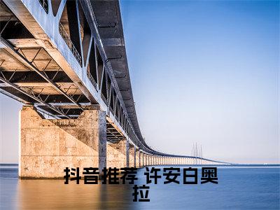  许安白奥拉小说大结局免费阅读-刚穿就被分配垃圾场抖音新上热文分享 许安白奥拉