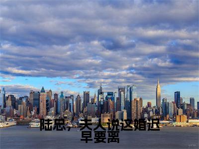 陆总,夫人说这婚迟早要离全文免费阅读无弹窗-(盛渺陆怀序在线阅读)陆总,夫人说这婚迟早要离最新章节列表笔趣阁