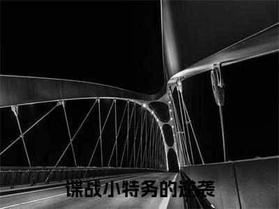  刘长川王奎小说免费阅读无弹窗《谍战小特务的逆袭》_谍战小特务的逆袭全文阅读 刘长川王奎