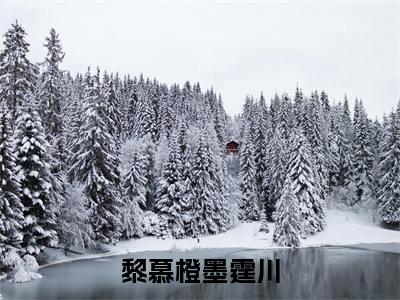 （墨霆川黎慕橙）是什么小说-黎慕橙墨霆川全文免费阅读无弹窗大结局（墨霆川黎慕橙）最新章节列表_笔趣阁