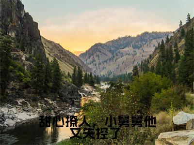 陆湛骁顾薇薇（甜心撩人，小舅舅他又失控了 ）在线阅读的小说完整版-甜心撩人，小舅舅他又失控了 （陆湛骁顾薇薇）小说免费阅读