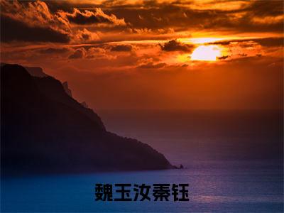 魏玉汝秦钰最新章节（秦钰魏玉汝）全文免费阅读无弹窗大结局_秦钰魏玉汝免费阅读（魏玉汝秦钰）