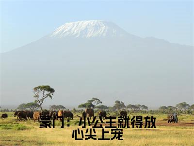 豪门：小公主就得放心尖上宠最新章节，豪门：小公主就得放心尖上宠今日热议小说完本阅读