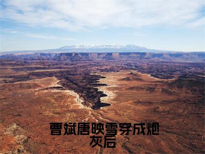  曹斌唐映雪（穿成炮灰后，我被反派夫人拉黑了）免费小说-穿成炮灰后，我被反派夫人拉黑了全文在线阅读