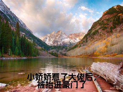 小娇娇惹了大佬后,被抬进豪门了( 白迟迟苏墨卿)小说全文免费阅读无弹窗大结局_(小娇娇惹了大佬后,被抬进豪门了全文免费阅读) 白迟迟苏墨卿最新章节列表_笔趣阁