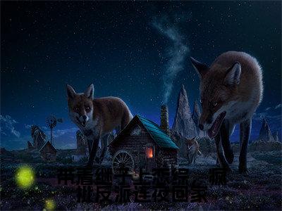 傅君恒宋浅浅(带着继子上恋综,疯批反派连夜回家)免费阅读无弹窗大结局-带着继子上恋综,疯批反派连夜回家(最新全章节大结局)全文阅读