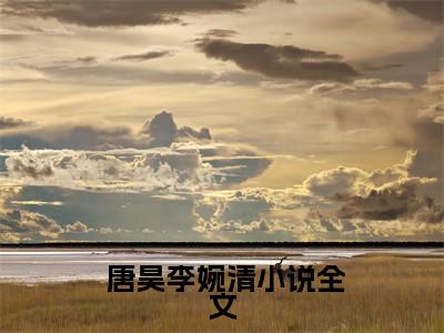 小说 唐昊李婉清全文免费阅读无弹窗大结局-神婿：从转生开始称霸大唐在线阅读