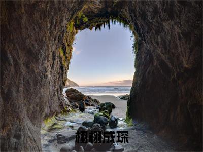 成琛栩栩（栩栩成琛）小说全文无删减-成琛栩栩小说免费阅读大结局