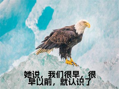 姜晏庭傅小小小说免费(她说，我们很早，很早以前，就认识了)全文免费阅读无弹窗-她说，我们很早，很早以前，就认识了小说全文免费阅读最新章节列表_笔趣阁