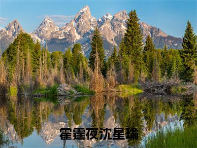 霍霆夜沈星瑜:沈星瑜霍霆夜(沈星瑜霍霆夜)全文免费阅读无弹窗大结局_霍霆夜沈星瑜:沈星瑜霍霆夜免费阅读