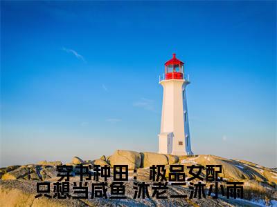 穿书种田：极品女配只想当咸鱼免费小说  沐老二沐小雨全文完整版阅读