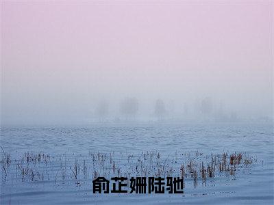 陆驰俞芷姗(俞芷姗陆驰)今日爆款小说-(陆驰俞芷姗)俞芷姗陆驰完结大结局免费阅读