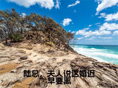 陆总,夫人说这婚迟早要离(盛渺陆怀序)全文免费阅读无弹窗大结局_ 陆总,夫人说这婚迟早要离最新章节完整版阅读
