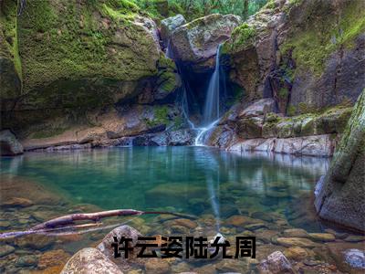 许云姿陆允周小说全文(陆允周许云姿)全文免费阅读无弹窗大结局_许云姿陆允周小说全文最新章节列表_笔趣阁
